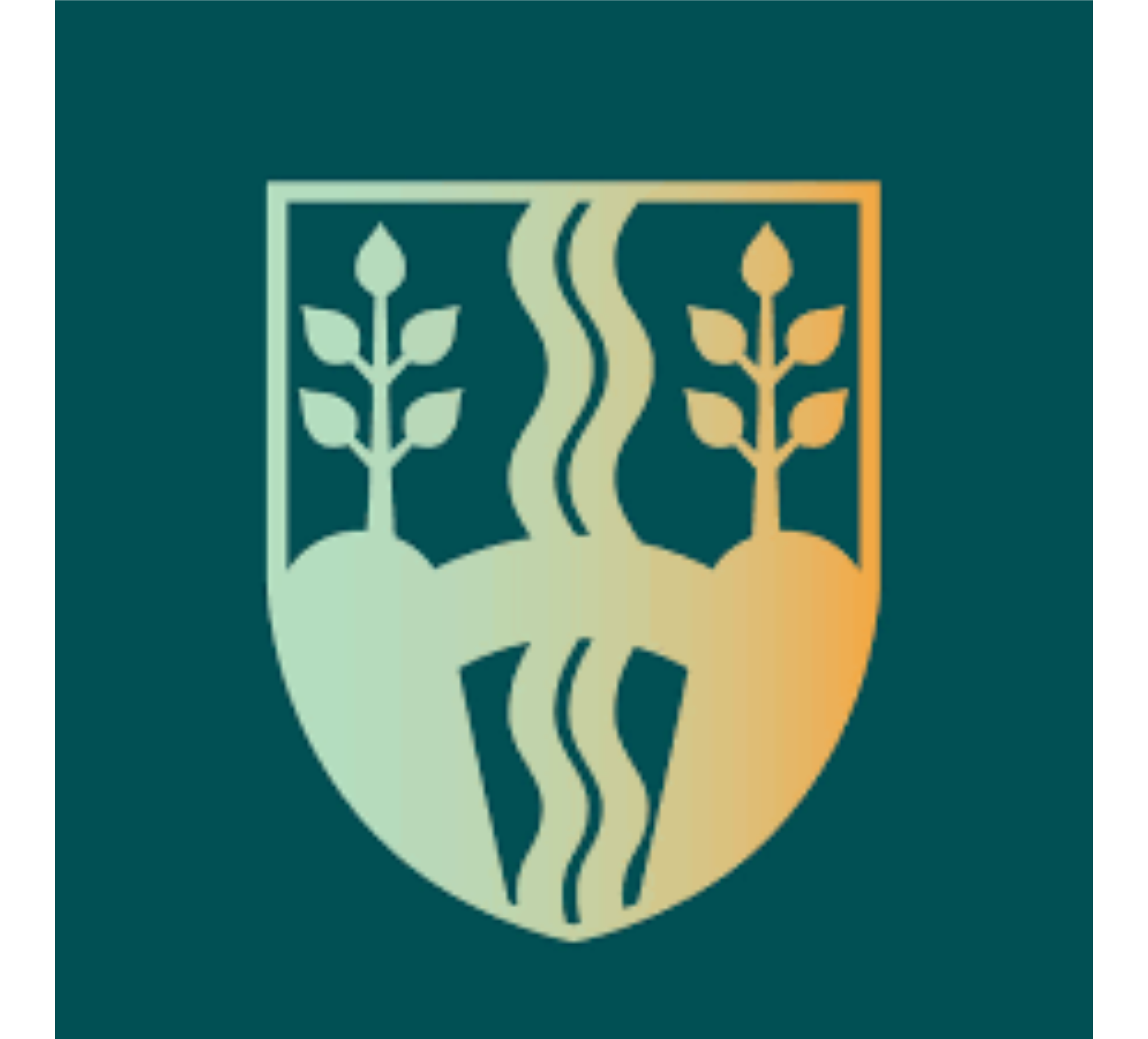 Vejle Kommune